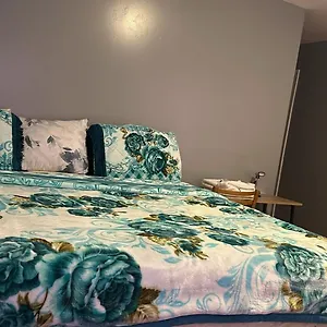 Divine 65 Sherman 6mins To Airport And 4mins To Penn Station Guest house